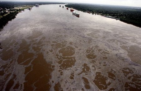  the BP oil spill dumped millions of gallons of oil into the Gulf.