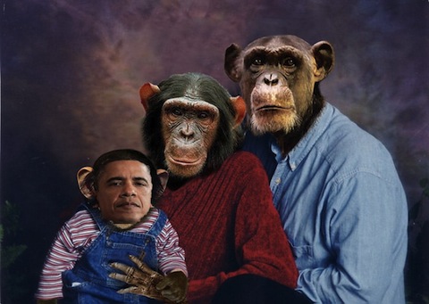 President_Obama_Monkeys-thumb-480x341.jp
